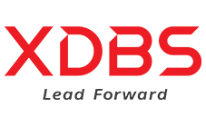 XDBS Final identity